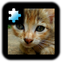 ジグソーパズル：子猫