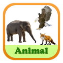 Animal Vocabulary