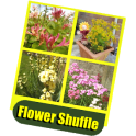 Flower Shuffle