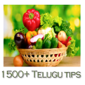 1500+ Telugu Tips