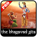 The Bhagavad Gita Pro