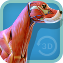 Visual Anatomy 3D - Canine