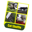 Cat Shuffle