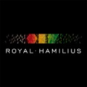 Royal-Hamilius 3D