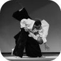 Aikido Lessons