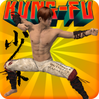 Real Kung Fu Fighting Kombat