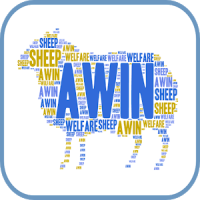 AWINSheep