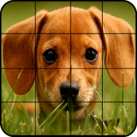 Puzzle-Hunde