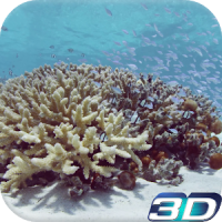 Sea Life Video Live Wallpaper