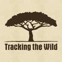 Tracking the Wild