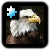 Jigsaw Puzzle: Bird