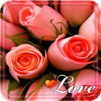 Roses Love Best LWP
