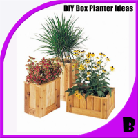 DIY Box Planter Ideas