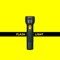 Flashlight (Torch)