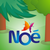 Mission Forêt avec Noé