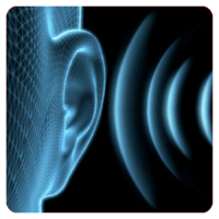 基本的な耳の訓練