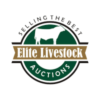 Elite Livestock Auctions
