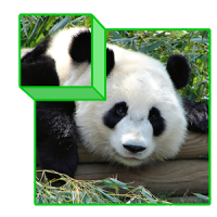Zoo Puzzle 3D for kids