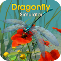 Dragonfly Simulator