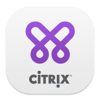 Citrix Secure Web