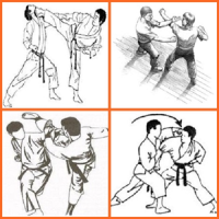 Martial Arts techniques