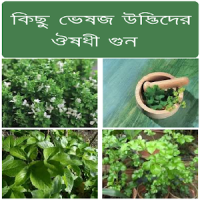 Herbal Plant Medicine (Bangla)