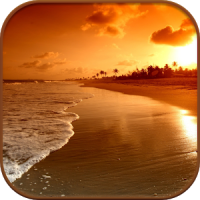 HD Beach Sunset Live Wallpaper