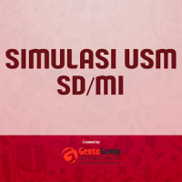 USM SD/MI