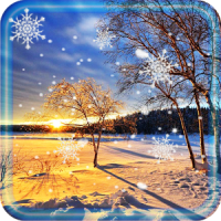 Winter Sunset live wallpaper