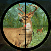 Forest Deer Hunting