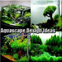 Aquascape Design Ideas