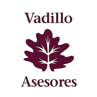 VADILLO ASESORES