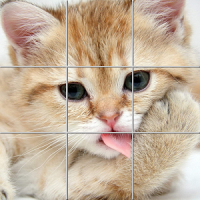 Cats Tile Puzzle