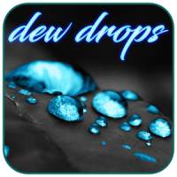 Water Dew Drops Live Wallpaper