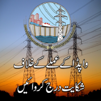 WAPDA Complaints Official