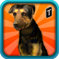 Street Dog Simulator 3D