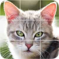 Free Picture Puzzle: Cats