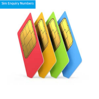 Sim Enquiry Numbers