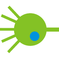 Neuron model RF-PSTH