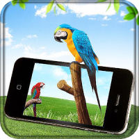 Parrot Live Wallpaper