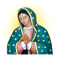 Novena Our Lady of Guadalupe