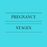 Pregnancy Stages- A GUIDE TO EASY PREGNANCY