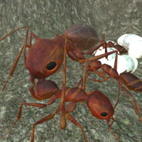 Ant Simulation 3D Full