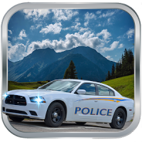 Police Car Drive 3D