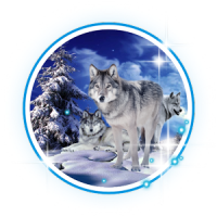 Wolves Winter Live wallpaper