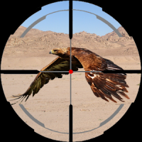 Desert Birds Sniper Hunter