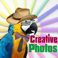 Creative Photos