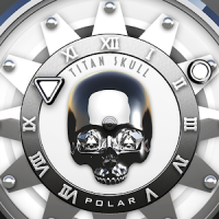 Polar Watch Face