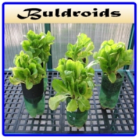 Best Hydroponic Systems