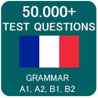 French Grammar Test